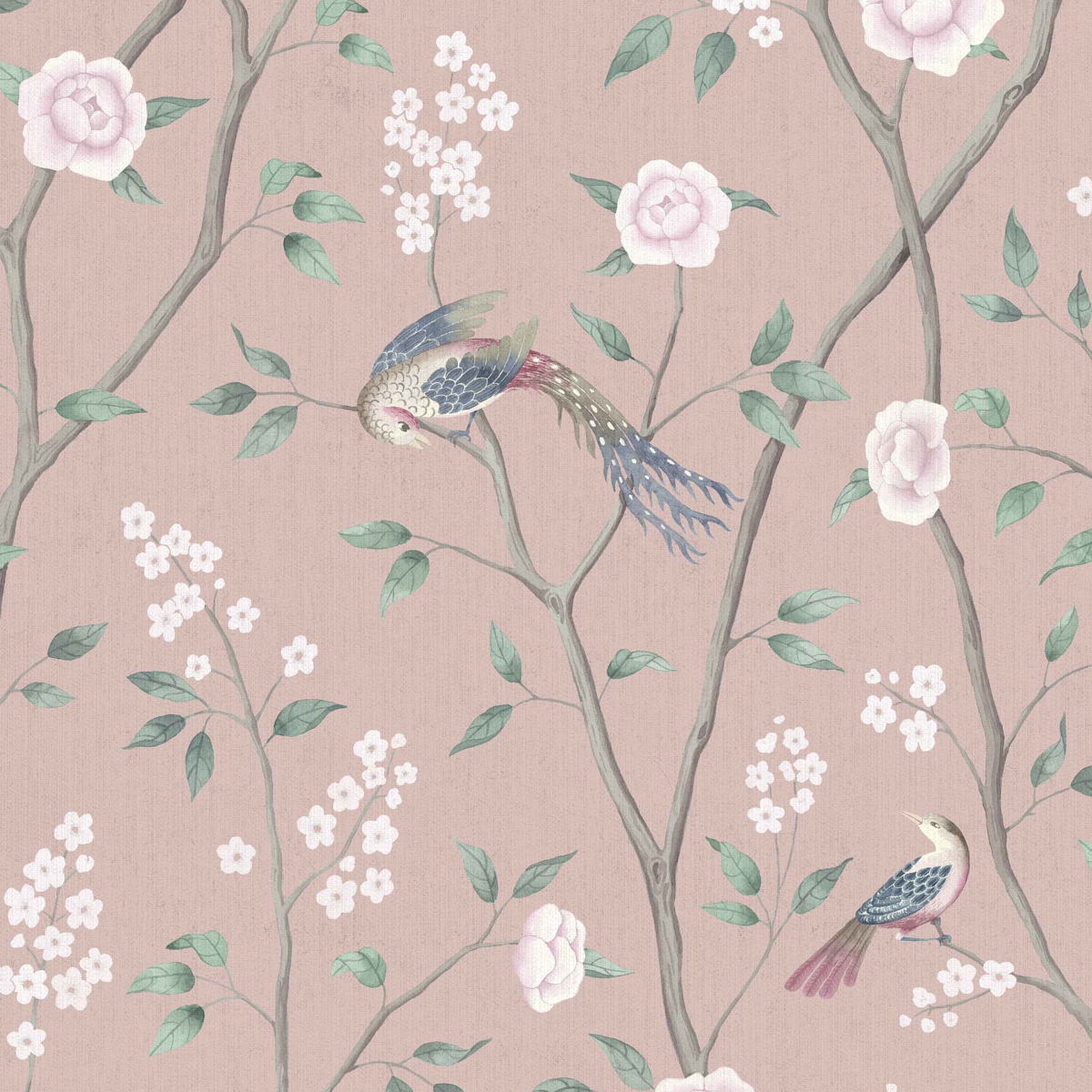 Paradise Birds - Blush Shimmer Wallpapers | Schumacher